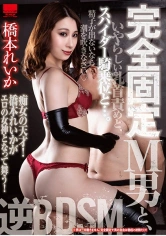 002HODV-21466 完全固定M男と、いやらしい乳首責めと、スパイダー騎乗位と…。 橋本れいかの画像