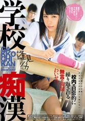 224TYD-002 学校痴漢 逢見リカの画像