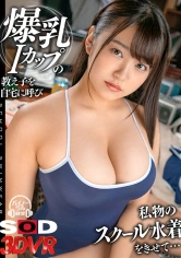 1073DSVR-0760 【VR】爆乳Iカップ教え子を自宅に呼び私物のスクール水着をきせて… 姫咲はなの画像