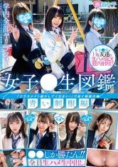 340SKMJ-200 女子●生図鑑 青い制服編の画像