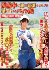 116SHH-027 接客中に顔を紅潮させながら感じまくるバイト娘 牧場の桃尻飼育員の画像