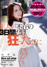 223DFDM-026 主人が不在の3日間だけ狂ったようにシャブりたい 向井藍の画像
