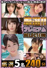 904RT-044 厳選プレミアムSELECTION vol.6の画像