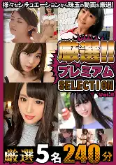 904RT-047 厳選プレミアムSELECTION vol.9の画像