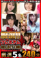 904RT-049 厳選プレミアムSELECTION vol.11の画像