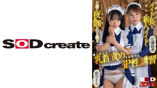 1073DSVR-1159 【VR】引退するメイド長から初心な新人メイドへ 日課の夜伽を引き継ぎ 磨き抜かれた乳首責めを伝授する3P性講習 広瀬結香 南乃そらのアイキャッチ画像
